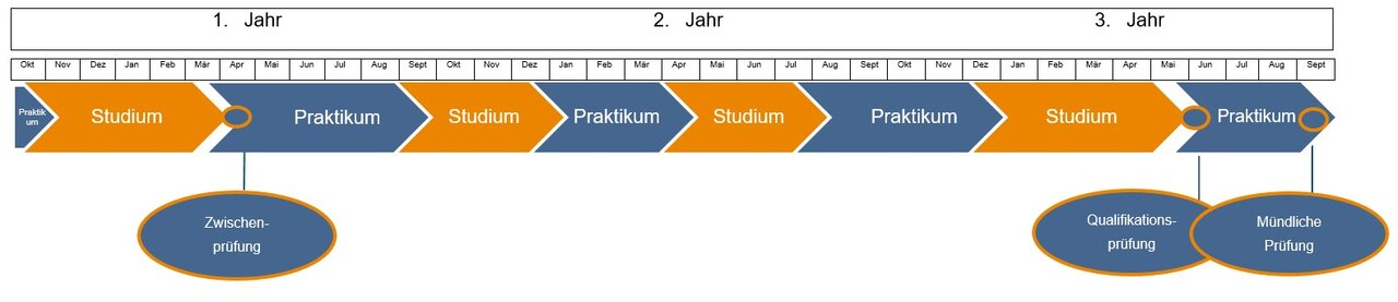  Überblick zum Ablauf des drei Jahre dauernden dualen Studiums, welches sich in dieser Zeit durch einen Wechsel zwischen der praktischen Ausbildung am Finanzamt und dem Studium an der Hochschule für den öffentlichen Dienst in Bayern auszeichnet. Nach dem ersten Studienabschnitt ist nach ca. sechs Monaten die Zwischenprüfung abzulegen. Nach dem letzten Studienabschnitt wird der schriftliche Teil der Qualifikationsprüfung und bei dessen Bestehen die mündliche Prüfung abgelegt.